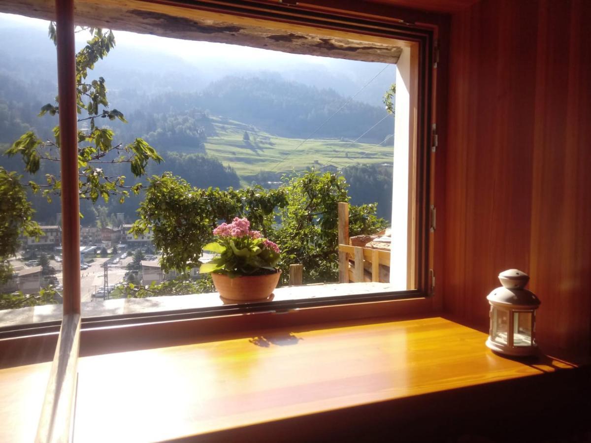 Bed & Breakfast De Eliseo